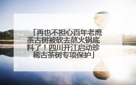 再也不担心百年老鹰茶古树被砍去熬火锅底料了！四川开江启动珍稀古茶树专项保护