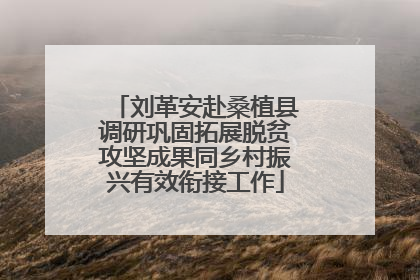 刘革安赴桑植县调研巩固拓展脱贫攻坚成果同乡村振兴有效衔接工作