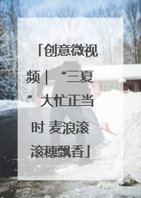 创意微视频｜“三夏”大忙正当时 麦浪滚滚穗飘香