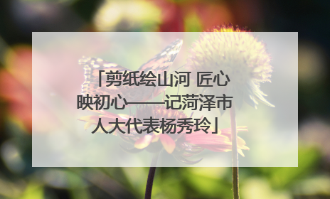 剪纸绘山河 匠心映初心——记菏泽市人大代表杨秀玲