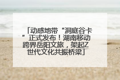 动感地带“洞庭谷卡”正式发布！湖南移动跨界岳阳文旅，架起Z世代文化共振桥梁