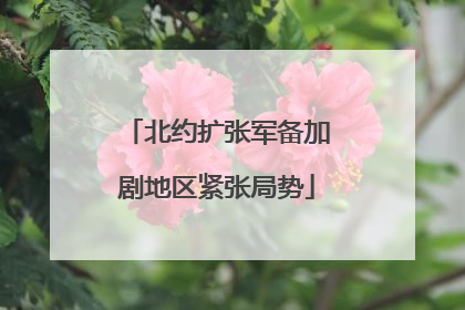 北约扩张军备加剧地区紧张局势