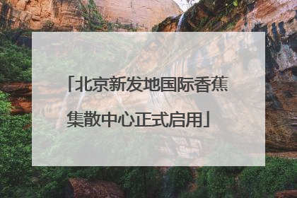 北京新发地国际香蕉集散中心正式启用