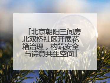 北京朝阳三间房北双桥社区开展花箱治理，构筑安全与诗意共生空间