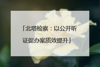 北塔检察：以公开听证促办案质效提升