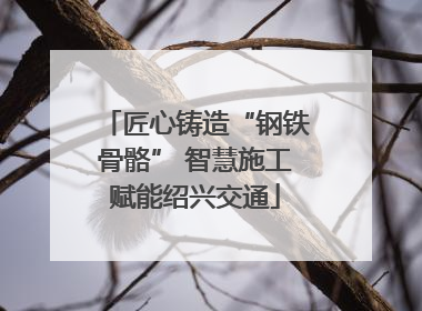 匠心铸造“钢铁骨骼” 智慧施工赋能绍兴交通