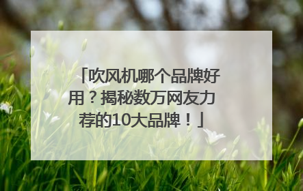 吹风机哪个品牌好用？揭秘数万网友力荐的10大品牌！