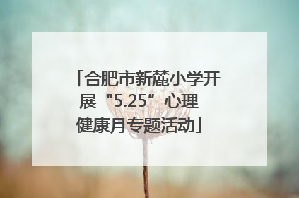 合肥市新麓小学开展“5.25”心理健康月专题活动