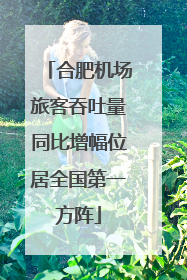 合肥机场旅客吞吐量同比增幅位居全国第一方阵