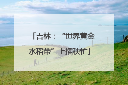 吉林：“世界黄金水稻带”上插秧忙