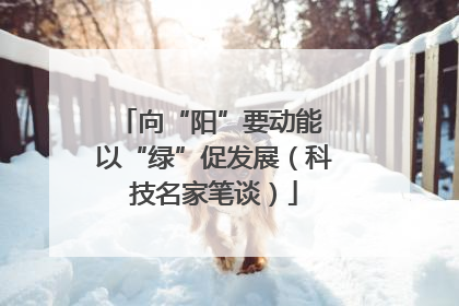 向“阳”要动能 以“绿”促发展（科技名家笔谈）