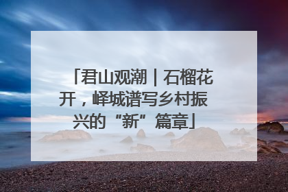 君山观潮｜石榴花开，峄城谱写乡村振兴的“新”篇章
