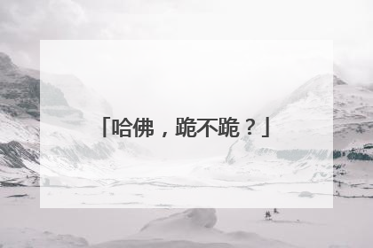 哈佛，跪不跪？