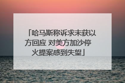 哈马斯称诉求未获以方回应 对美方加沙停火提案感到失望