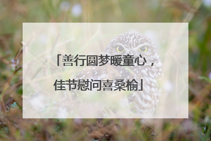 善行圆梦暖童心，佳节慰问喜桑榆