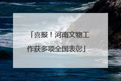 喜报！河南文物工作获多项全国表彰