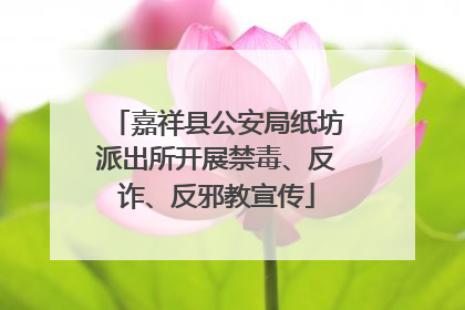 嘉祥县公安局纸坊派出所开展禁毒、反诈、反邪教宣传