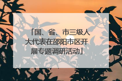 国、省、市三级人大代表在邵阳市区开展专题调研活动