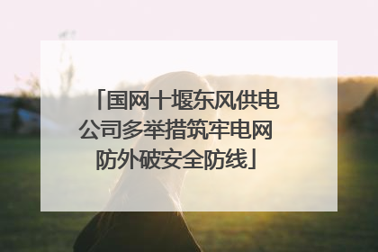 国网十堰东风供电公司多举措筑牢电网防外破安全防线