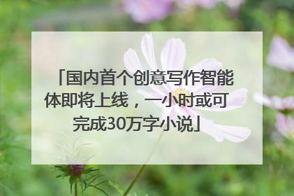 国内首个创意写作智能体即将上线，一小时或可完成30万字小说
