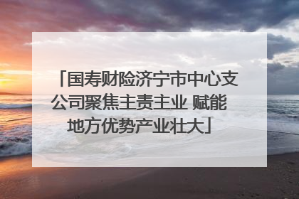 国寿财险济宁市中心支公司聚焦主责主业 赋能地方优势产业壮大