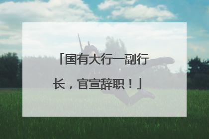 国有大行一副行长，官宣辞职！