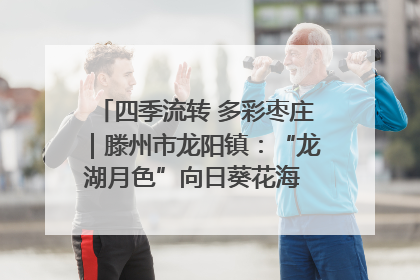 四季流转 多彩枣庄｜滕州市龙阳镇：“龙湖月色”向日葵花海 绘就乡村振兴新画卷