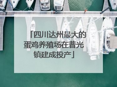 四川达州最大的蛋鸡养殖场在普光镇建成投产