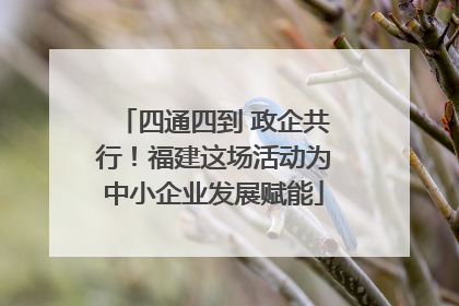 四通四到 政企共行！福建这场活动为中小企业发展赋能