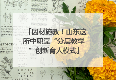 因材施教！山东这所中职靠“分层教学”创新育人模式