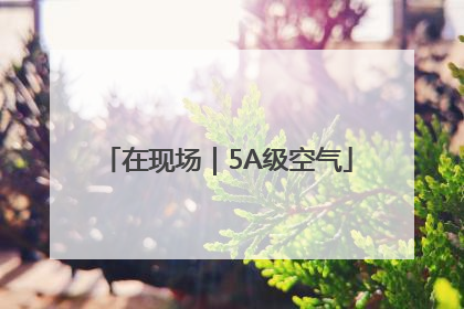在现场｜5A级空气