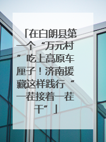 在白朗县第一个“万元村”吃上高原车厘子！济南援藏这样践行“一茬接着一茬干”
