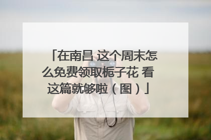 在南昌 这个周末怎么免费领取栀子花 看这篇就够啦（图）