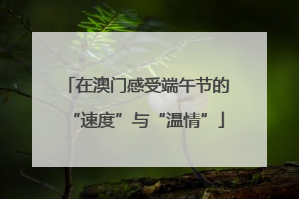 在澳门感受端午节的“速度”与“温情”