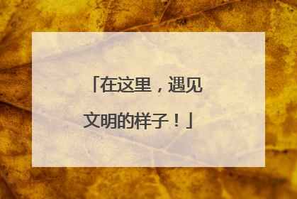 在这里，遇见文明的样子！