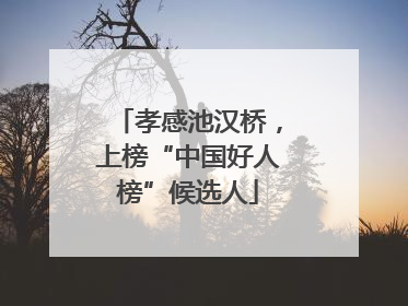 孝感池汉桥，上榜“中国好人榜”候选人