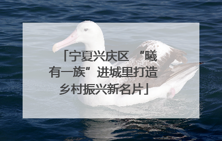 宁夏兴庆区 “曦有一族”进城里打造乡村振兴新名片