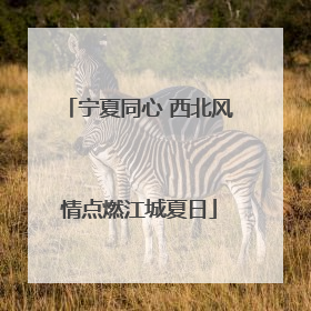 宁夏同心 西北风情点燃江城夏日