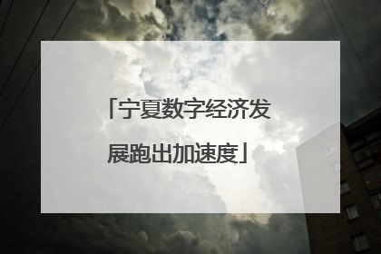 宁夏数字经济发展跑出加速度
