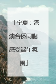 宁夏：港澳台侨同胞感受端午氛围