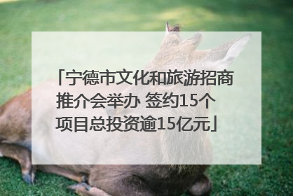宁德市文化和旅游招商推介会举办 签约15个项目总投资逾15亿元