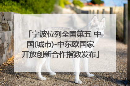 宁波位列全国第五 中国(城市)-中东欧国家开放创新合作指数发布
