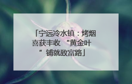 宁远冷水镇：烤烟喜获丰收 “黄金叶”铺就致富路