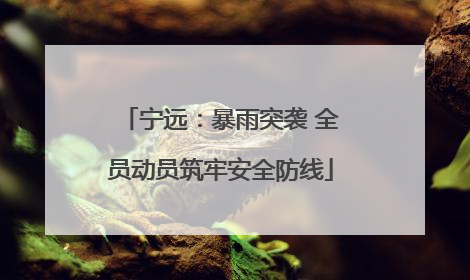 宁远：暴雨突袭 全员动员筑牢安全防线