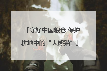 守好中国粮仓 保护耕地中的“大熊猫”