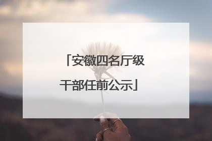 安徽四名厅级干部任前公示