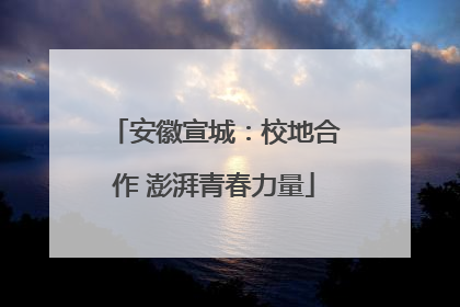安徽宣城：校地合作 澎湃青春力量