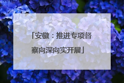 安徽：推进专项督察向深向实开展