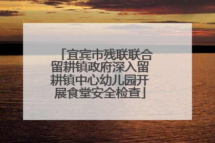 宜宾市残联联合留耕镇政府深入留耕镇中心幼儿园开展食堂安全检查