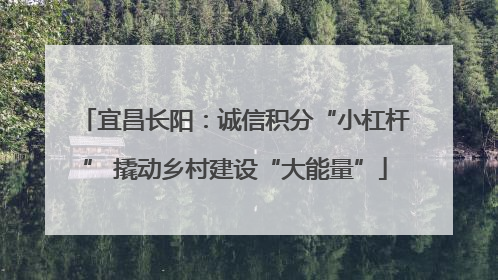 宜昌长阳：诚信积分“小杠杆” 撬动乡村建设“大能量”